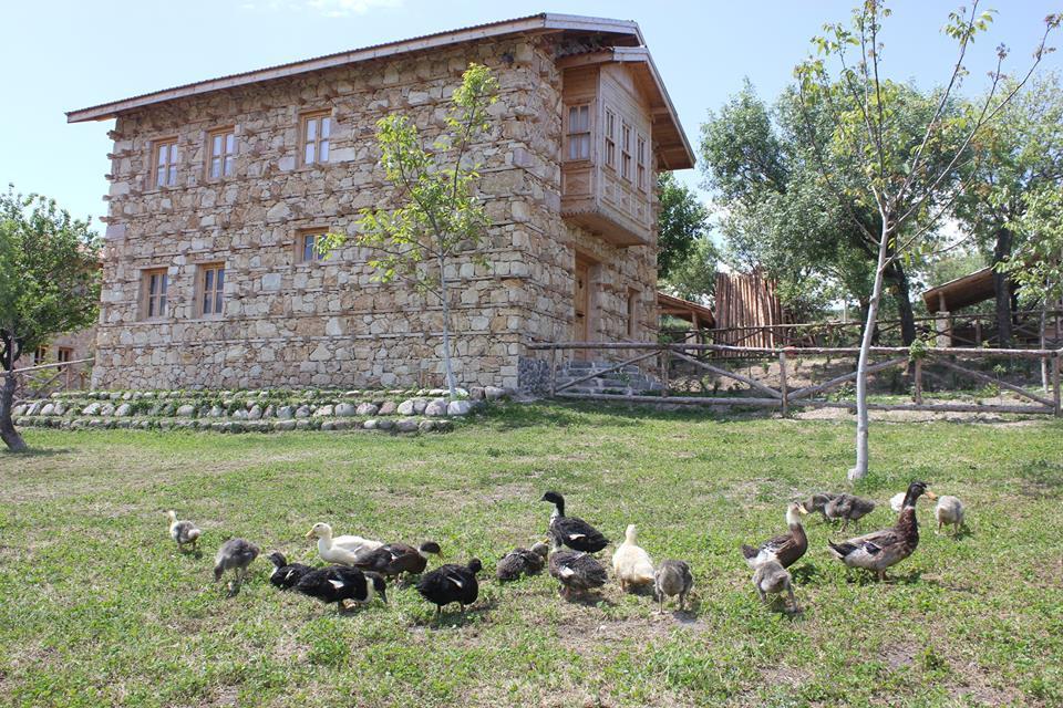 Yasayan Koy Hotel Kizilcasogut Esterno foto