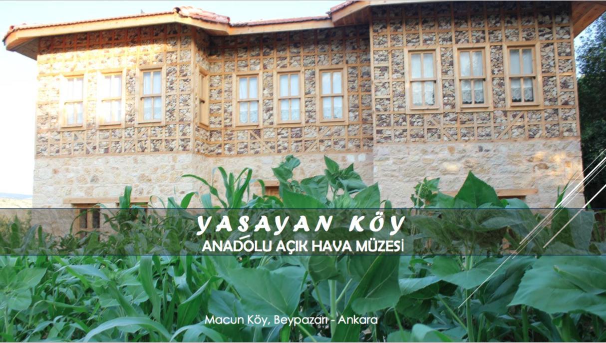 Yasayan Koy Hotel Kizilcasogut Esterno foto