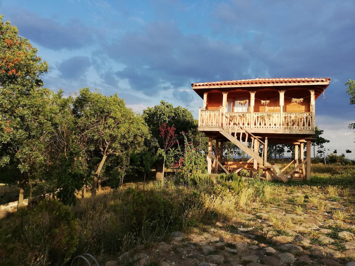 Yasayan Koy Hotel Kizilcasogut Esterno foto