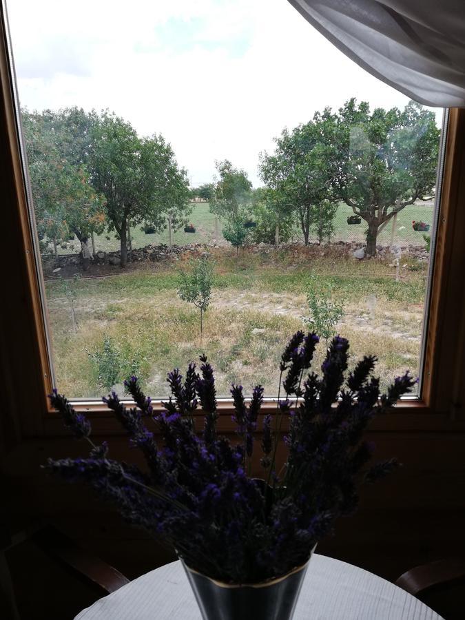 Yasayan Koy Hotel Kizilcasogut Esterno foto